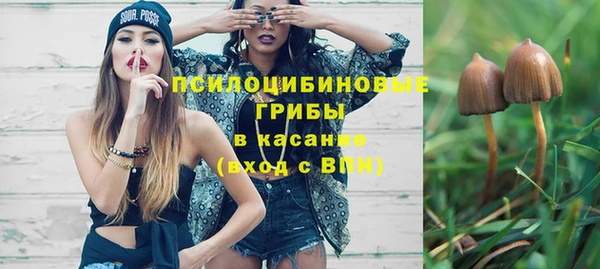 гидропоника Алексеевка